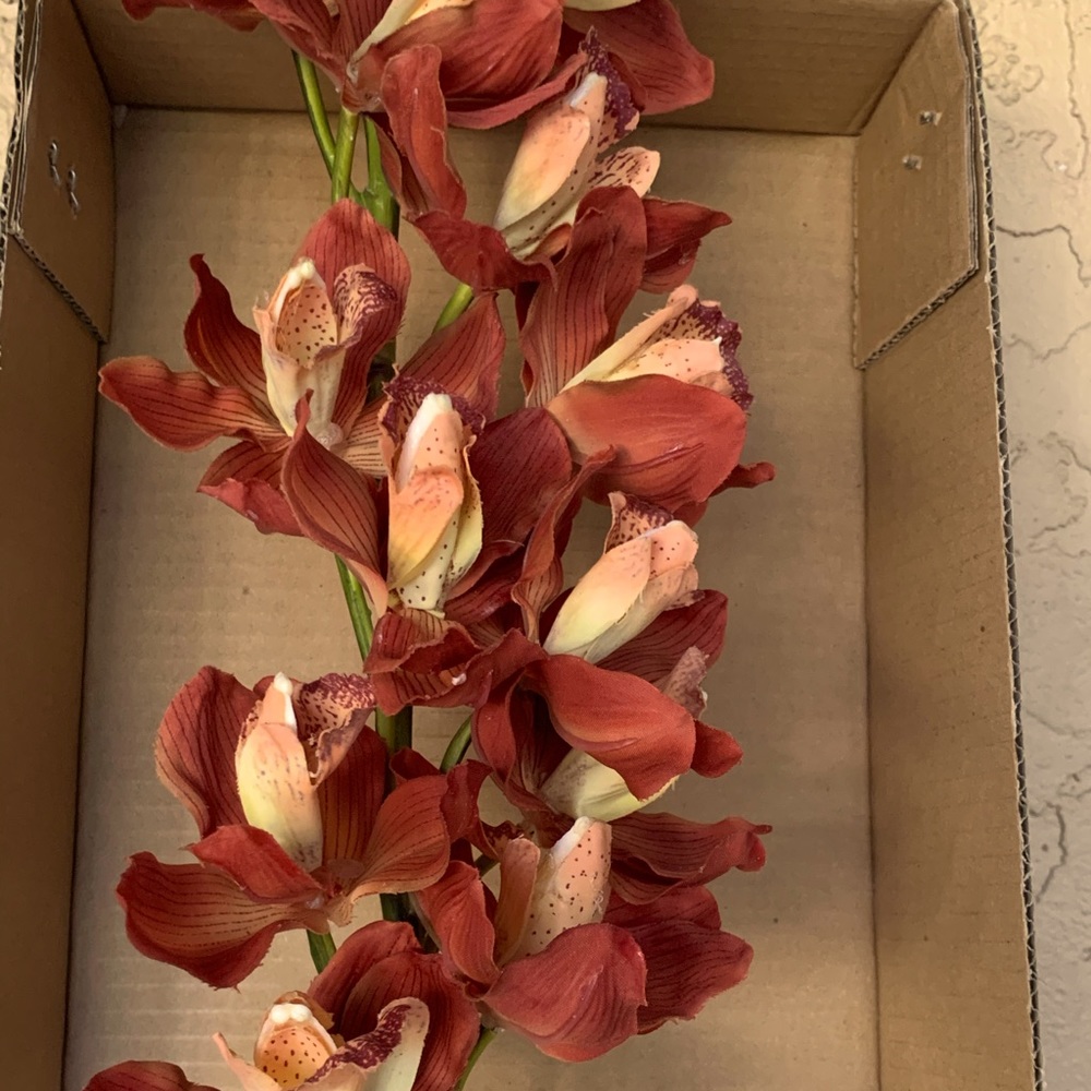 40” Cymbidium Orchid Stem Dusty Orange Silk Artificial Faux Flower